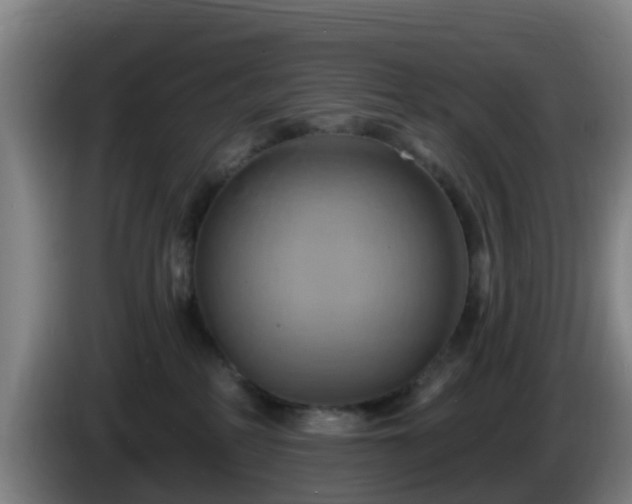 X0000086020234200703301039