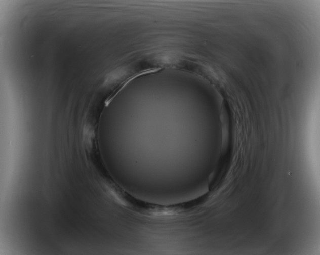 X0000086020235200703301039