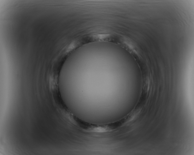 X0000086020236200703301039