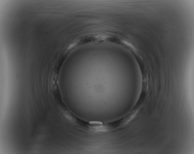 X0000086020237200703301039