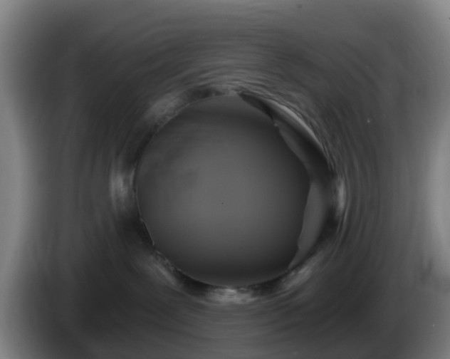 X0000086020239200703301039