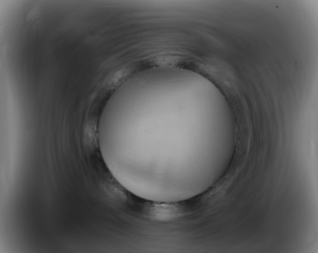 X0000086020240200703301039