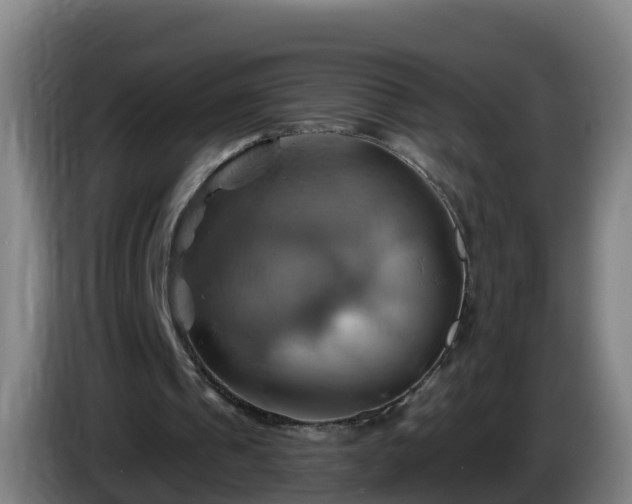 X0000086020241200703301038