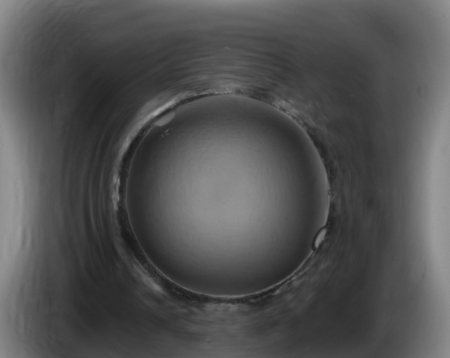 X0000086020242200703301038