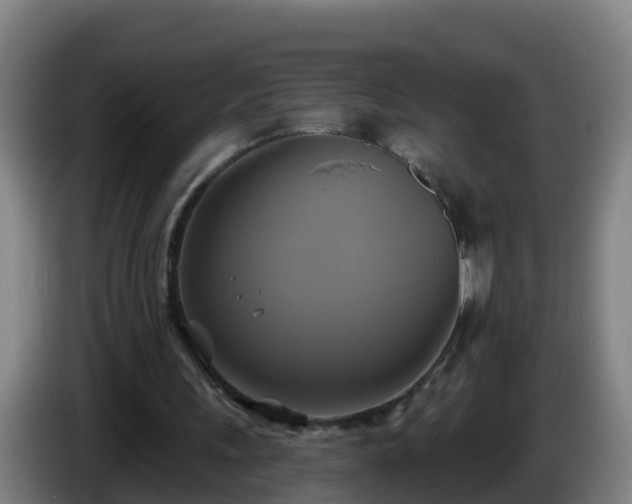 X0000086020243200703301038