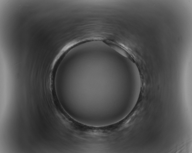 X0000086020244200703301038