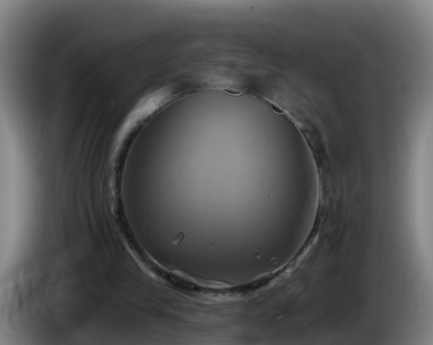 X0000086020245200703301038