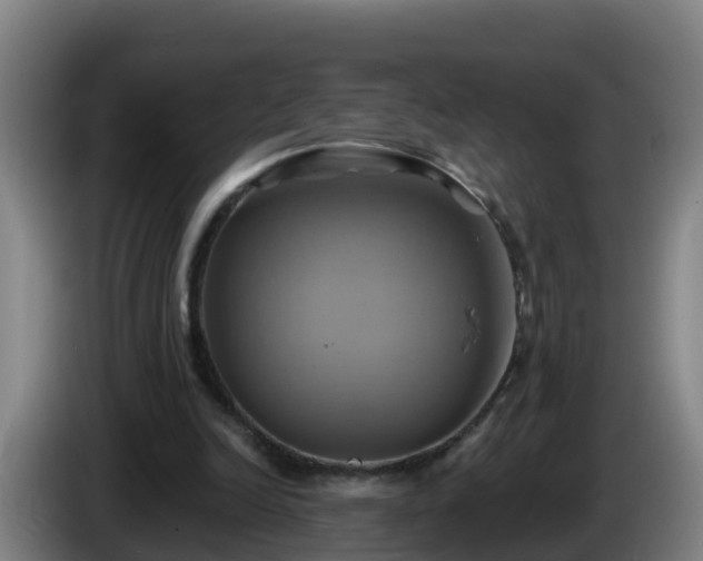 X0000086020246200703301038