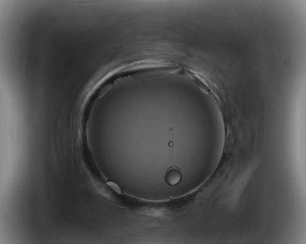 X0000086020247200703301038