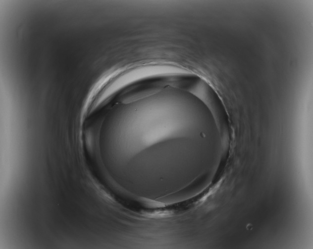X0000086020248200703301038