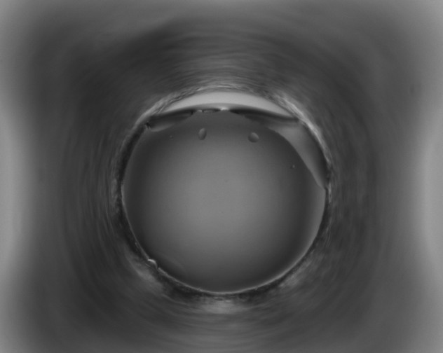 X0000086020249200703301038