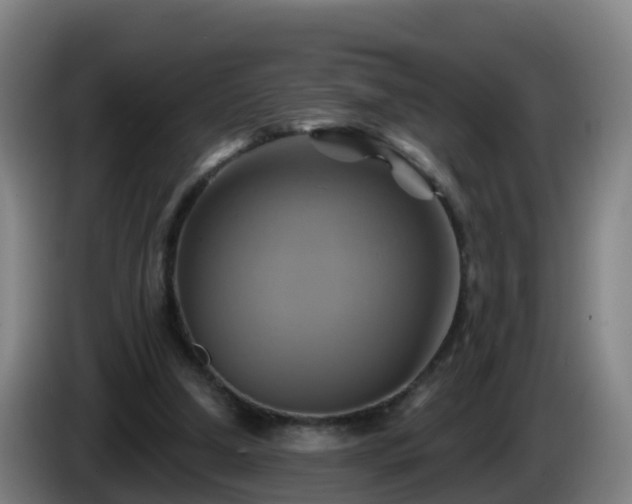 X0000086020250200703301038