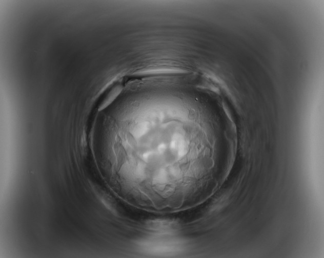 X0000086020251200703301038