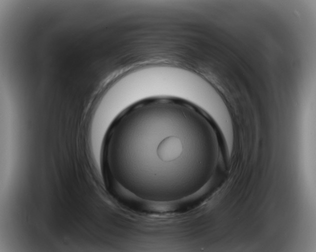 X0000086020252200703301038