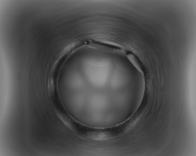 X0000086020254200703301038