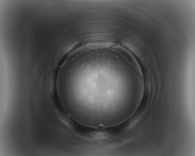 X0000086020255200703301038