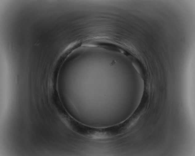 X0000086020256200703301038