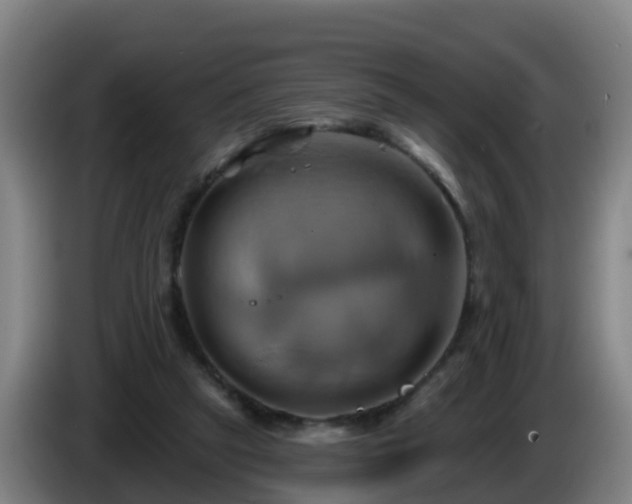 X0000086020257200703301038