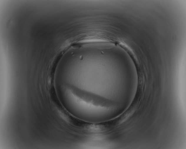 X0000086020261200703301038