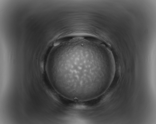 X0000086020262200703301038