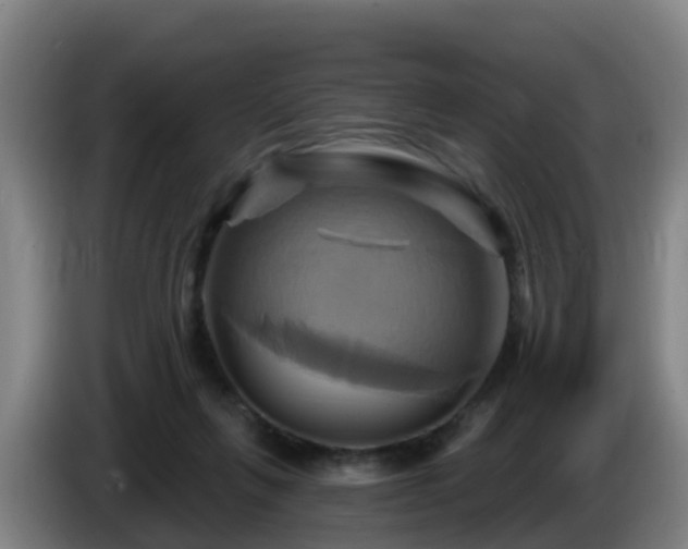 X0000086020263200703301038