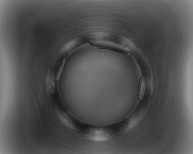 X0000086020264200703301039