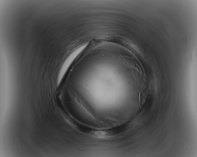 X0000086020265200703301039