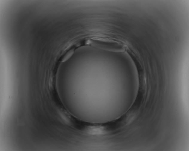 X0000086020266200703301039