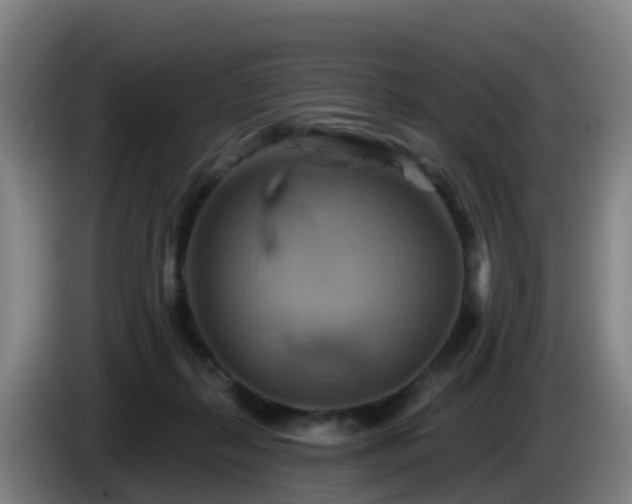 X0000086020267200703301039