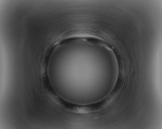 X0000086020268200703301039
