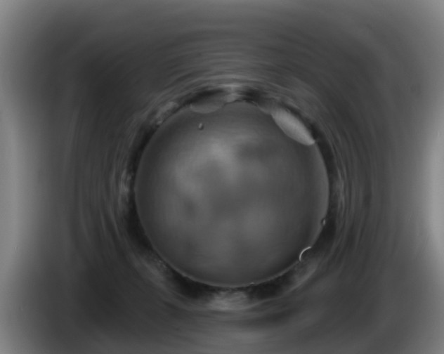 X0000086020271200703301039