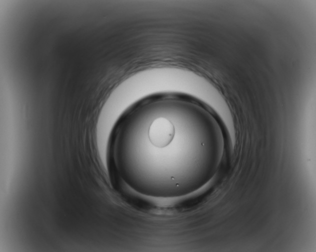X0000086020272200703301039