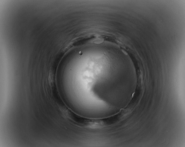 X0000086020274200703301039