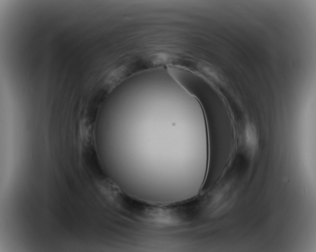 X0000086020276200703301039