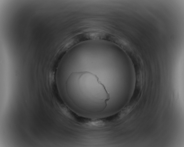 X0000086020278200703301039