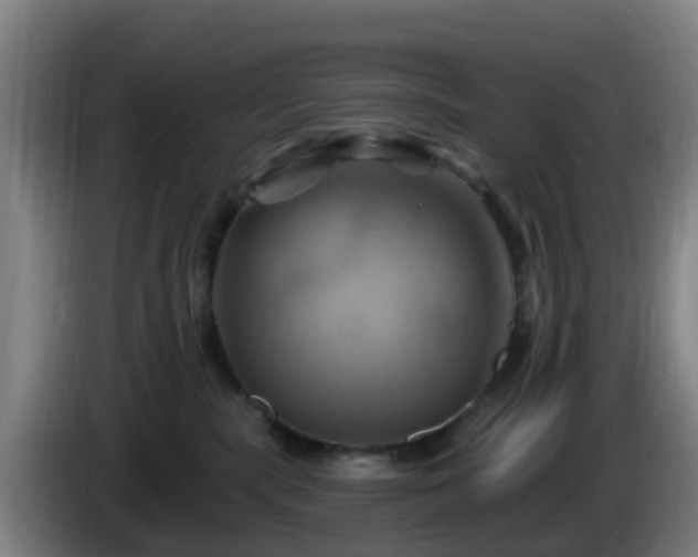 X0000086020283200703301039