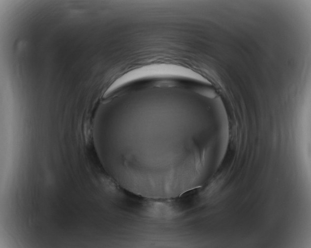 X0000086020285200703301039