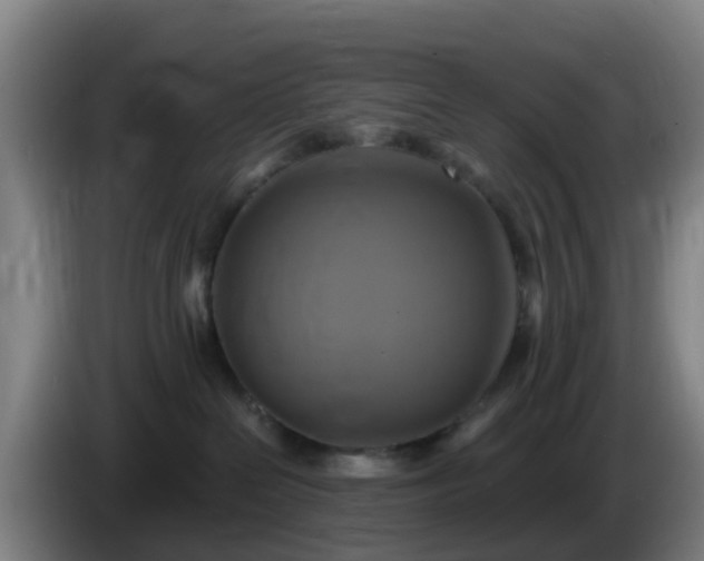 X0000086020286200703301039
