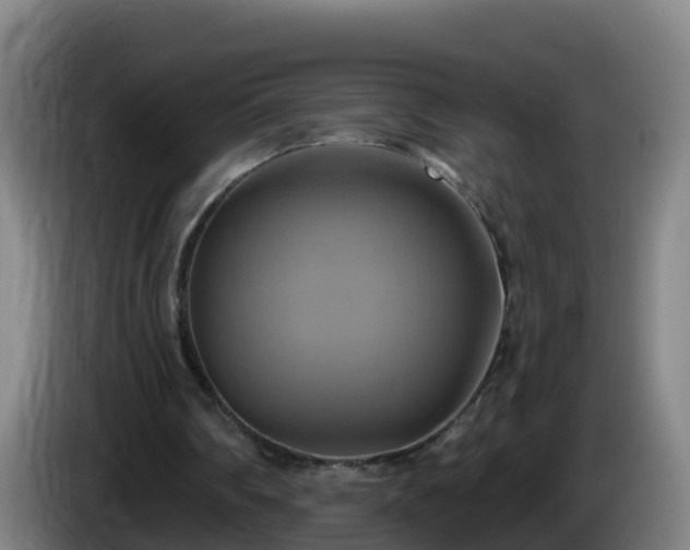 X0000086020290200703301038