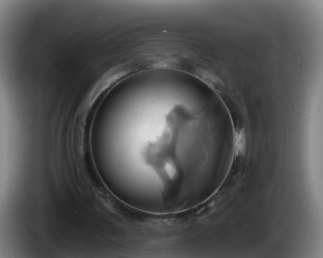 X0000086020291200703301038
