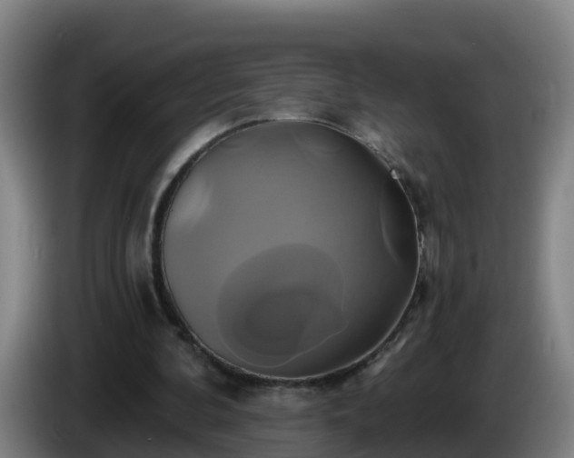 X0000086020292200703301038