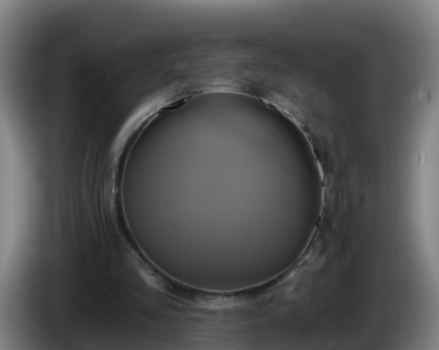 X0000086020293200703301038