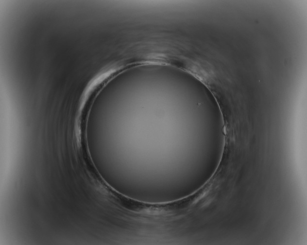 X0000086020294200703301038