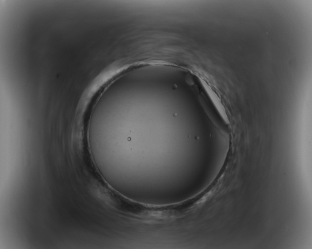 X0000086020295200703301038