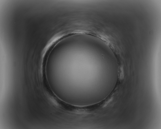 X0000086020296200703301038
