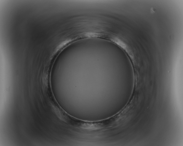 X0000086020297200703301038