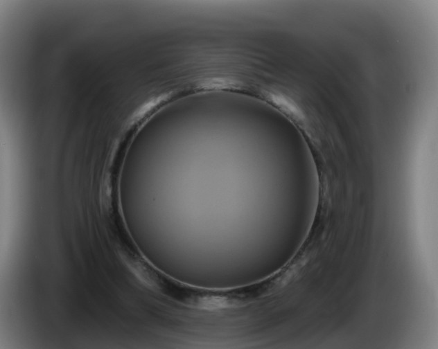X0000086020298200703301038