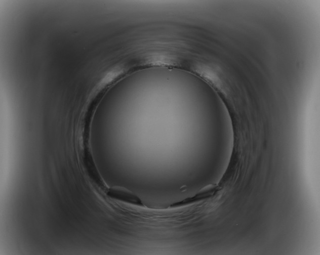 X0000086020299200703301038