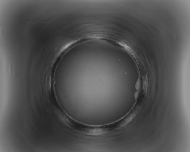 X0000086020301200703301038