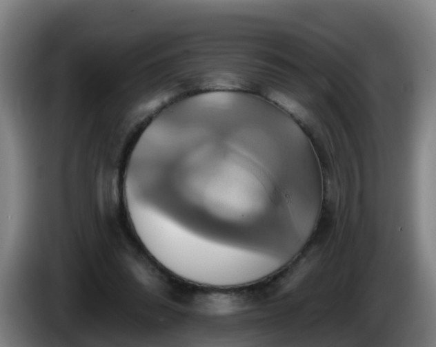X0000086020302200703301038